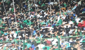 Foto Galeriler